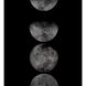 Moon Phases Charcoal Luxe Art